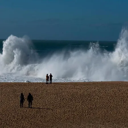 Donacamo Charming House شقة نازاريه